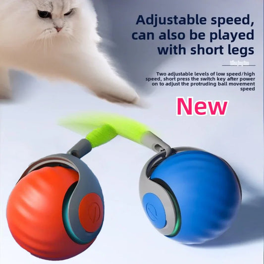 Whisker Play Motion Ball