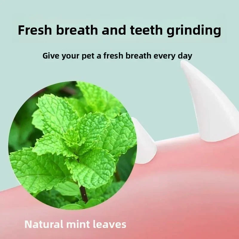 Purrfect Catnip Play Ball