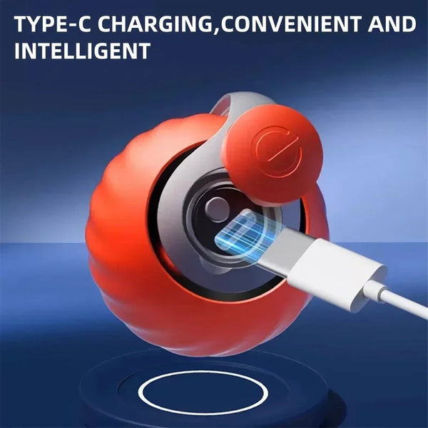 Whisker Play Motion Ball