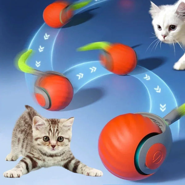 Whisker Play Motion Ball